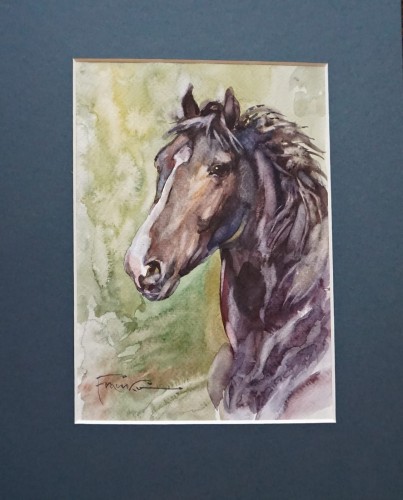 Aleksander Franko_Koń_akwarela na papierze_galeria sztuki Bellotto Warszawa aa.JPG