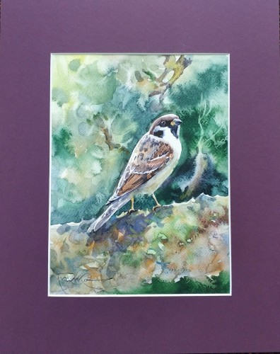 Aleksander Franko_Wróbelek__akwarela_galeria sztuki Bellotto Warszawa.jpg s.jpg