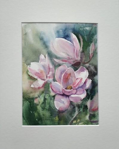 Aleksander Franko_Magnolie_Kwiaty_akwarela_galeria sztuki Bellotto Warszawa aakk.jpg