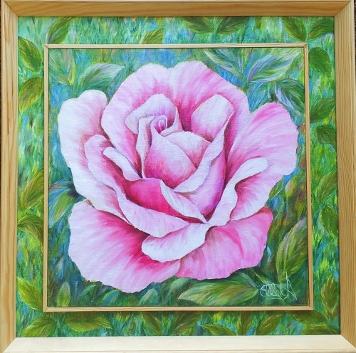 Bożena Olak_Róża różowa_olej na płótnie_kwiaty_galeria sztuki Bellotto Warszawa.jpg