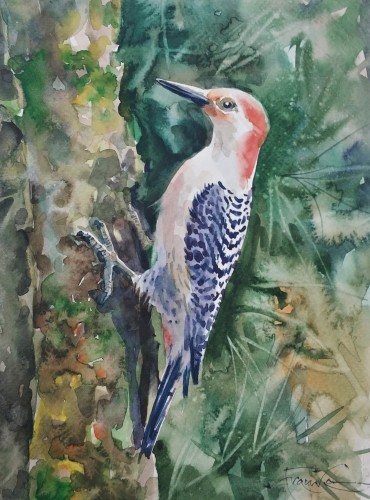 Aleksander Franko _akwarela_Dzięcioł_Ptaki_galeria sztuki Bellotto Warszawa.jpg