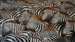 EWA LASEK / OBRAZ / ZEBRY - PRZENIKANIE II