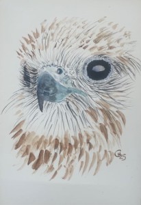 HANNA GRABOWSKA /OBRAZ / SOKÓŁ