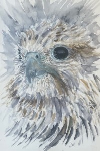 HANNA GRABOWSKA /OBRAZ / SOKÓŁ II