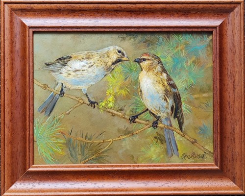 Ewa Lasek_czeczotki_cykl ptaki_olej na płycie_galeria sztuki Bellotto Warszawa.jpg