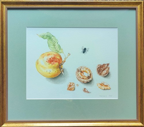 piotr stefanow_akwarela_martwa natura_owoce_galeria sztuki Bellotto Warszawa mmmm.jpg