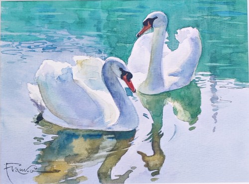 Aleksander Franko_akwarela _Łabedzie_ptaki_galeria sztuki Bellotto Warszawa.jpg