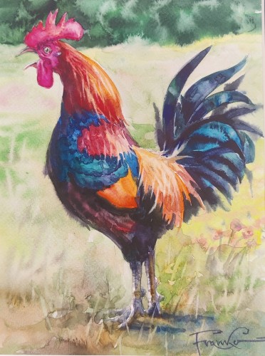 Aleksander Franko_Kogut_ptaki_akwarela_galeria sztuki Bellotto Warszawa.jpg