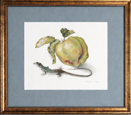 Piotr Stefanow_akwarela_martwa natura z jaszczurka_2025 rok_galeria sztuki Bellotto Warszawa.png