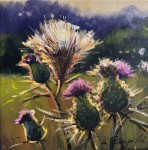 ZBIGNIEW PIECZYŃSKI /OSTY (A)