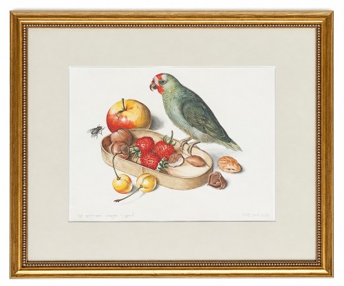Piotr Stefanow_akwarela_martwa natura z papuga_ptaki_galeria sztuki Bellotto Warszawa nnnn.jpg