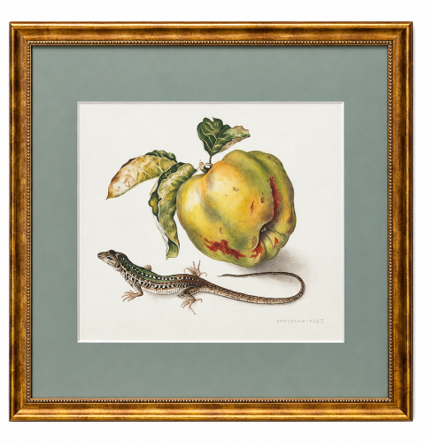 Piotr Stefanow_akwarela_martwa natura z jaszczurka_2025 rok_galeria sztuki Bellotto Warszawa.png