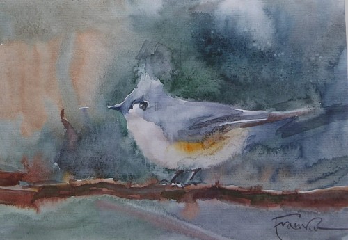 franko-ptaszek c.JPG